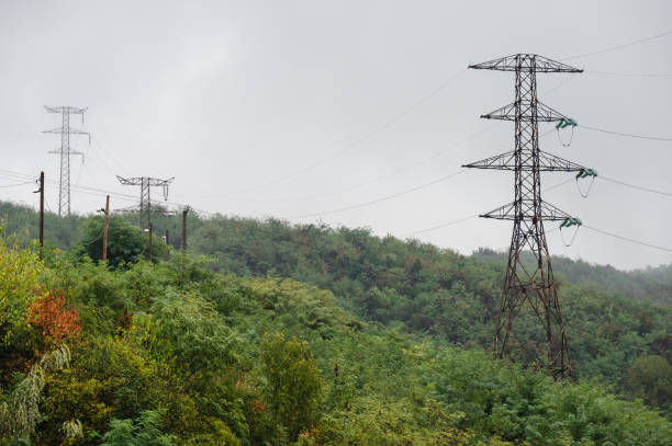 High-voltage power lines stretch across green, forested hills under a cloudy sky. The transmission towers rise prominently above the vegetation, highlighting the intersection of infrastructure and nature.