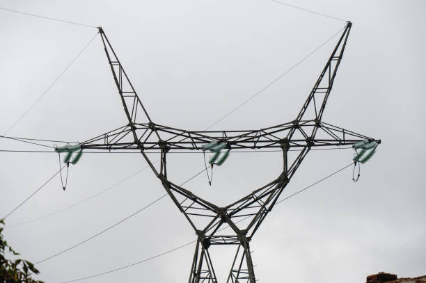 High-voltage power lines stretch across green, forested hills under a cloudy sky. The transmission towers rise prominently above the vegetation, highlighting the intersection of infrastructure and nature.