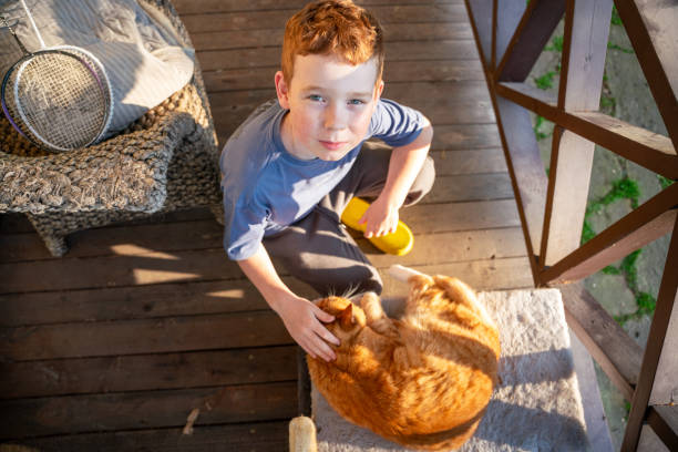 Cute school age redhead boy petting a red cat and looking at camera
