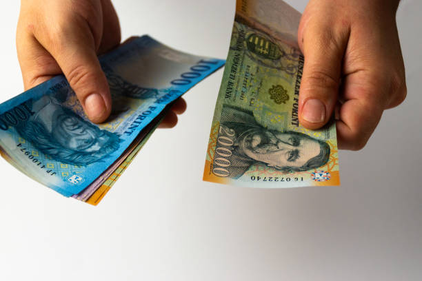 istock Hungarian banknotes in a hand 2171663871