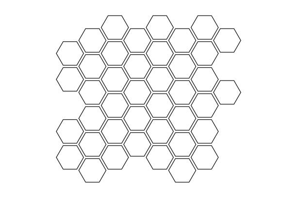 illustrazioni stock, clip art, cartoni animati e icone di tendenza di icona vettoriale a nido d'ape. struttura a nido d'ape di propoli. miele, polline, cera, pergamena e prodotti delle api in stile schizzo. illustrazione vettoriale in bianco e nero isolata su sfondo bianco. - arnia