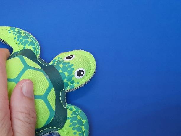 istock Green turtle figure with hand and blue background 2171667179