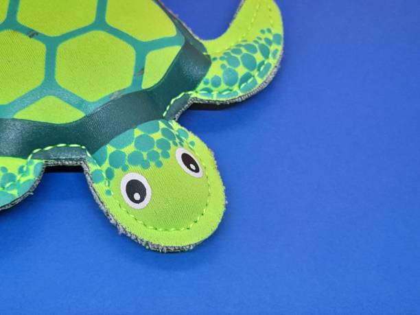 istock Green turtle figure withblue background 2171667187