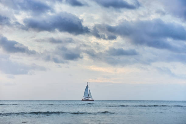 Amazing Sunsets, Sailing, driving on the Historic Seven Mile Bridge,  the Henry Flagler Railroad Bridge, birds and wildlife are all a part of the eco system of the Florida Keys.