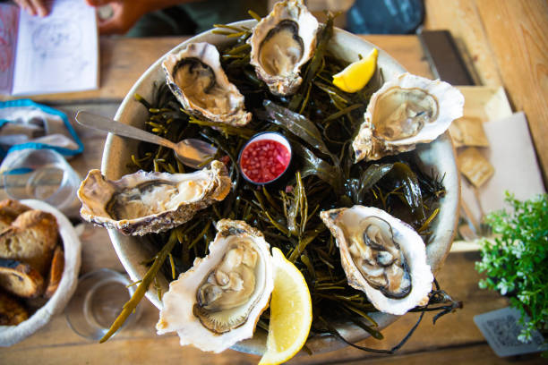 Oysters plate on lettuce, Brittany typical seafood.