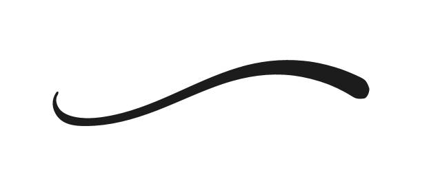Swoosh and swoops underline typography tail shape. Brush drawn thick curved smear. Hand drawn curly swish, swash, squiggle, twiddle. Vector calligraphy doodle swirl. Vector Underlined icon