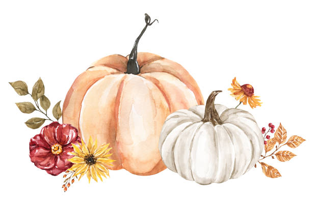 Floral arrangement with pumpkins, watercolor clipart. Hand-painted orange and white gourd with autumn leaves and flowers. Beautiful fall orange pumpkins and flowers arrangement. Floral autumn decoration. Watercolor illustration. Thanksgiving card design. orange sunflower stock illustrations