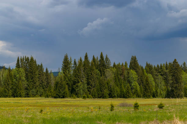 Typical spring landscape near Stozec, Nation park Sumava, Czech Republic