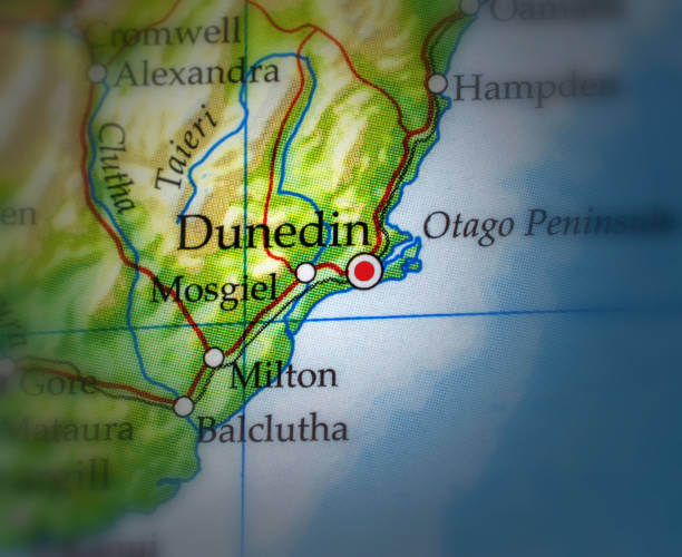 istock Dunedin new zealand 2171697559