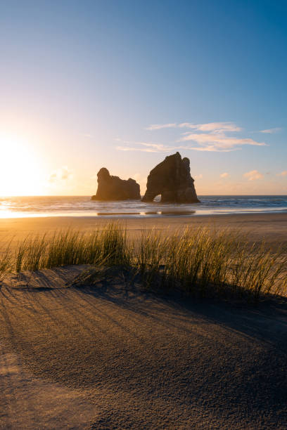 istock Golden Grass Wharariki 2171700490