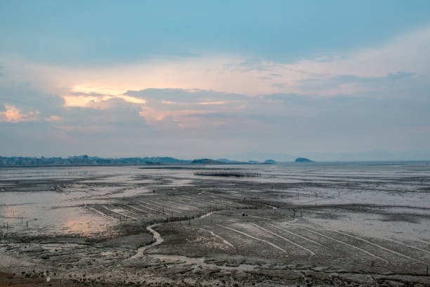 Seafood farming fields by the seaside