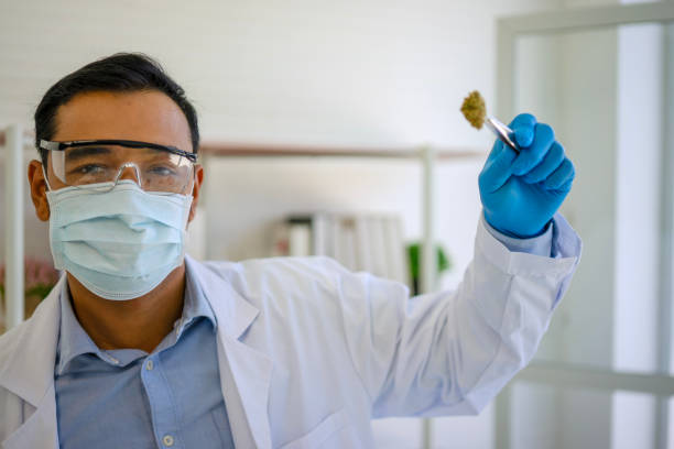 What's the Latest Research on Using CBD for Anxiety? -combat creatine