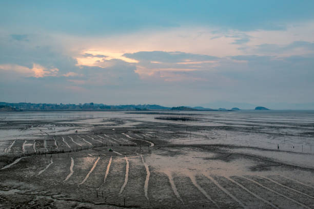 Seafood farming fields by the seaside