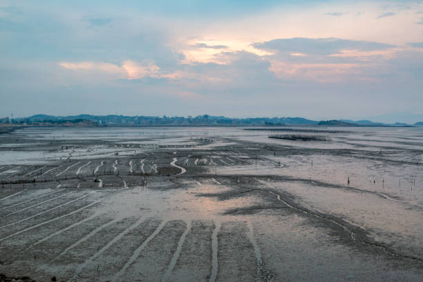 istock Seafood farming fields by the seaside 2171700548