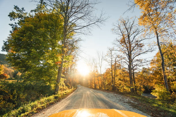 autumnal landscape in Usa