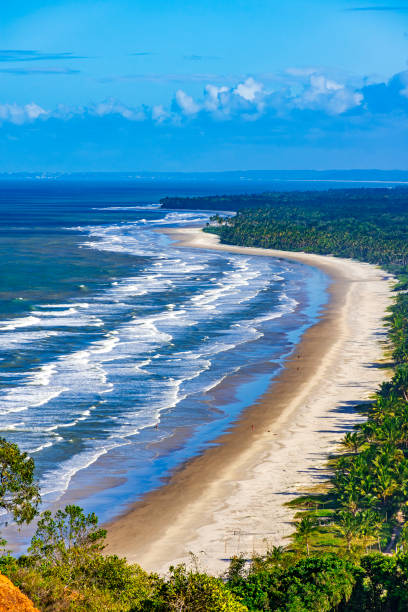 istock Beach surrounded by the sea and coconut trees 2171705591