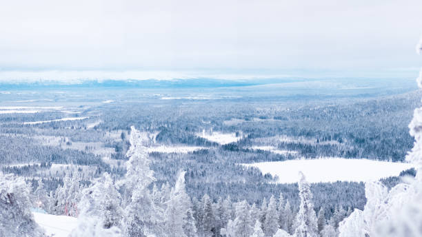 istock Frozen Snow Covered Winter Landscape with a View over the Forest 2171706947