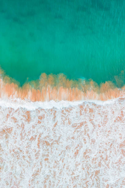 istock Aerial top down view deep blue ocean waves crashing and foaming on the shore. summer background. 2171708075