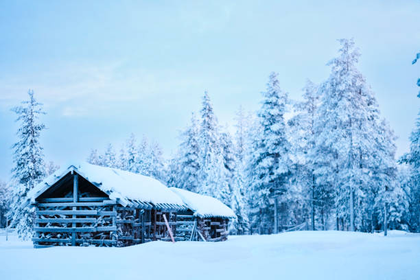 istock Quiet Winter Forest Environment with Two Firewood Storage Cabines 2171713306