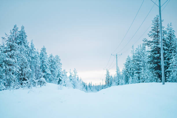 Street in a Snow and Ice Covered Forest in the Cloudy Winter Day