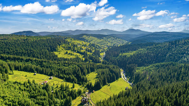 istock Picturesque Carpathian mountains in summer. 2171717591