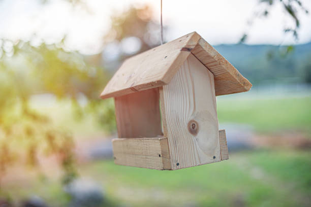 Wooden birdhouse on tree branches.