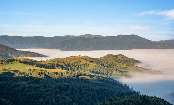 istock Picturesque Carpathian mountains in summer. 2171718045