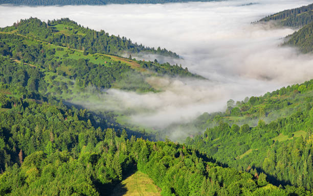 istock Picturesque Carpathian mountains in summer. 2171718046