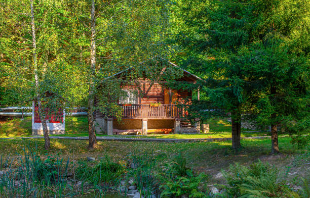 istock Wooden cottages in the forest. 2171718847