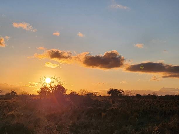 istock Sunset and the coming evening on the Savannah. 2171719164