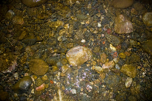 This striking photograph features a large, imposing stone partially submerged in calm, crystal-clear water. The stone’s rugged texture contrasts beautifully with the smooth, reflective surface of the water, creating a serene and picturesque scene.
