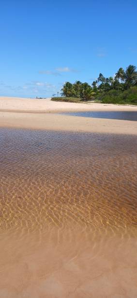 istock sand dunes and sea 2171722582