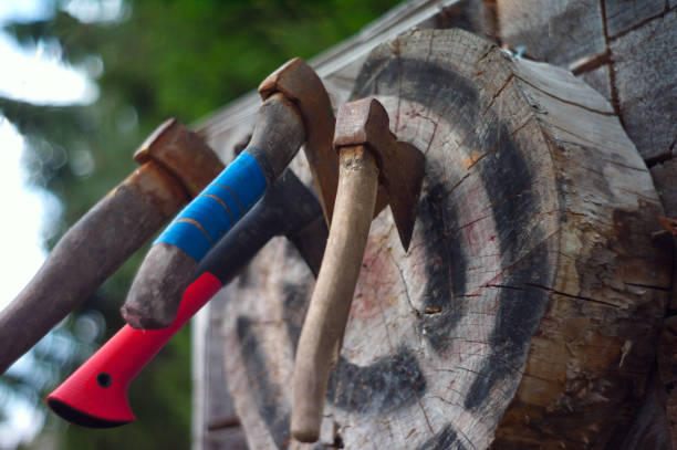 a round wooden target for axes, outdoor shot, no people