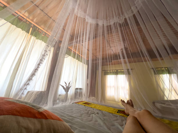 istock Relaxation In The Tropics 2171729682