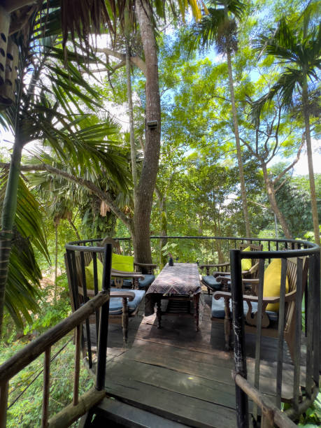 istock Seat In The Jungle For Tourists 2171729811