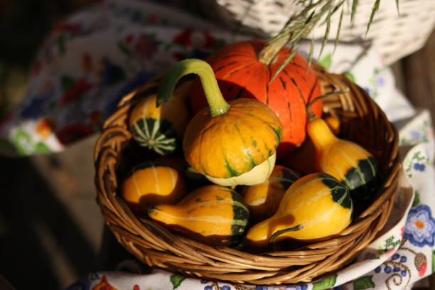 bright decorative pumpkins, squash, yellow pumpkins in a basket