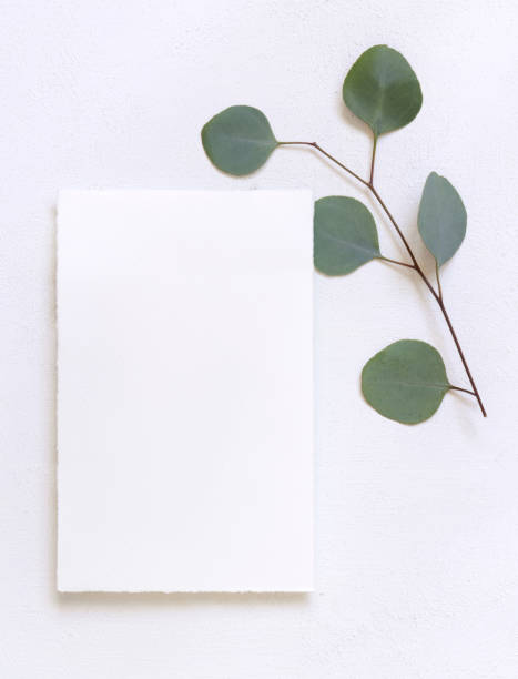 istock Card on a white table near green eucalyptus branches and leaves, Wedding mockup 2171731713