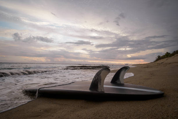 istock Black modern surfboard lies on the sand, covered ocean wave at sunset. 2171732365