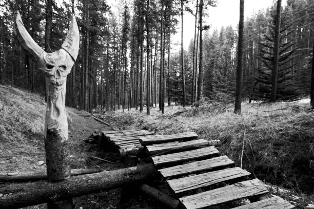 A view of a carved, wooden skull with horns at the edge of an up-and-over ladder bridge on a mountain bike trail in Kananaskis Country, Alberta, Canada.