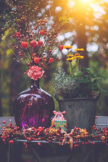 istock Flower arrangement in the garden 2171738669