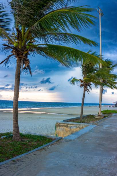 istock Palm trees on the beach with beautiful clouds 2171742622