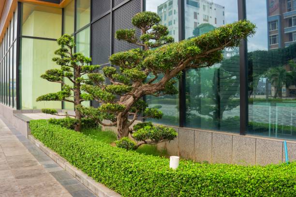 istock Green Tree Next to Glass Building 2171746043