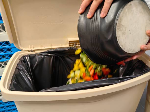 istock Throw the leftover vegetables into the trash bin, product food spoils quickly. 2171752118