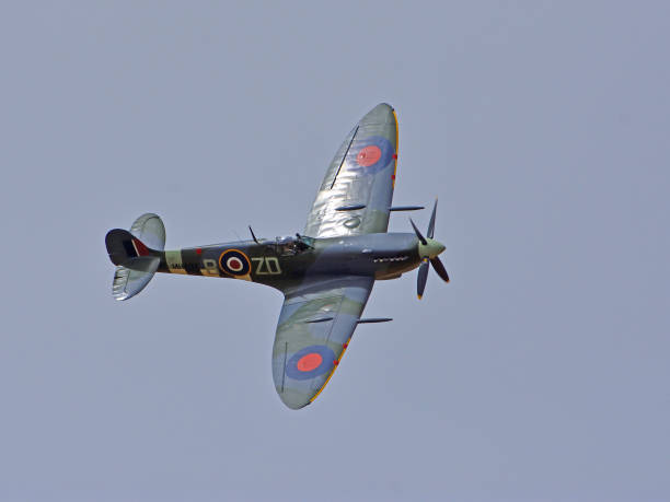 Little Gransden, Cambridgeshire, England -  August 25, 2024: Vintage Supermarine Spitfire aircraft in flight