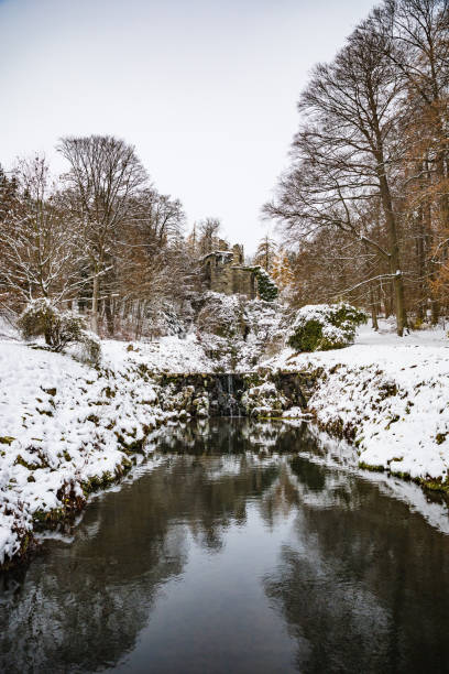 Kassel, Germany - trees and buildings in winter