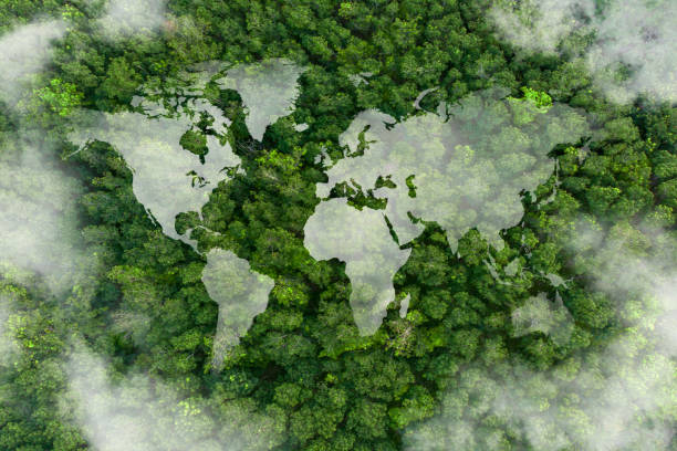 istock World map made of white puffy clouds on green forest. World environment day concept. 2171783286