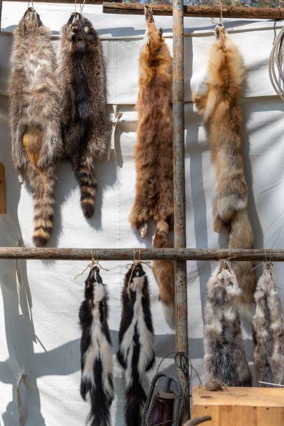 Furs for sale at a trading post, Civil War Era