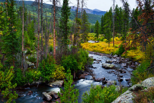 Flowing Creek in Autumn Through Mountain Valley - Scenic views during fall autumn colors.