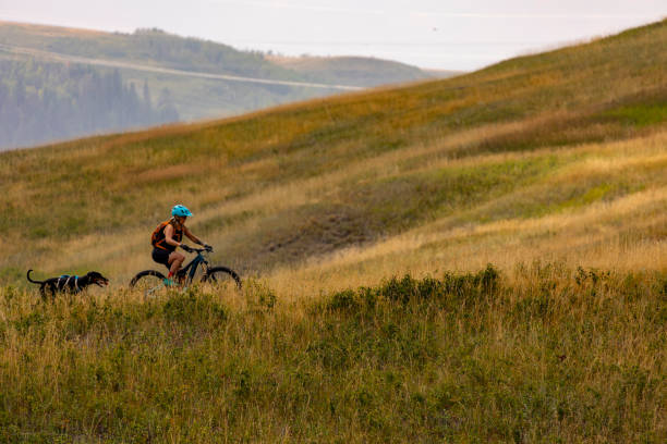 istock Woman mountain biker rides through grasses with dog 2171797256