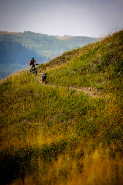 istock Woman mountain biker rides through grasses with dog 2171797295